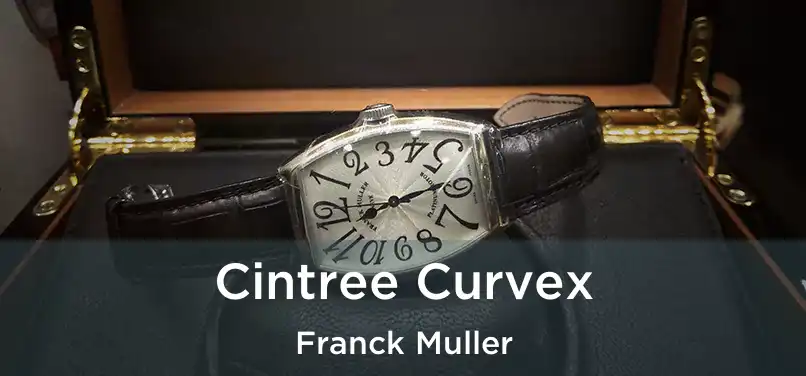  Cintree Curvex Franck Muller